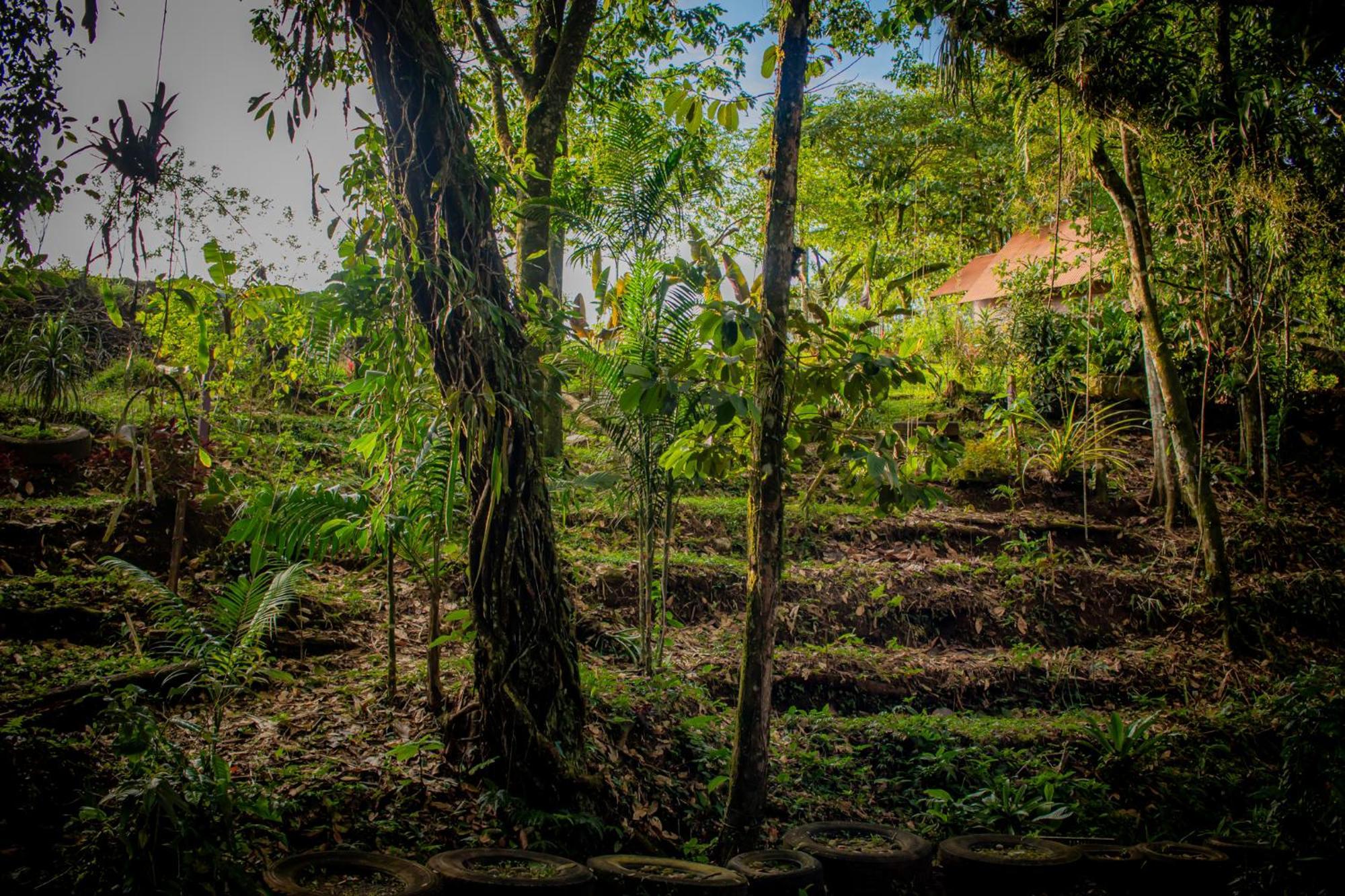 Villa Campo'S Venecia Dış mekan fotoğraf